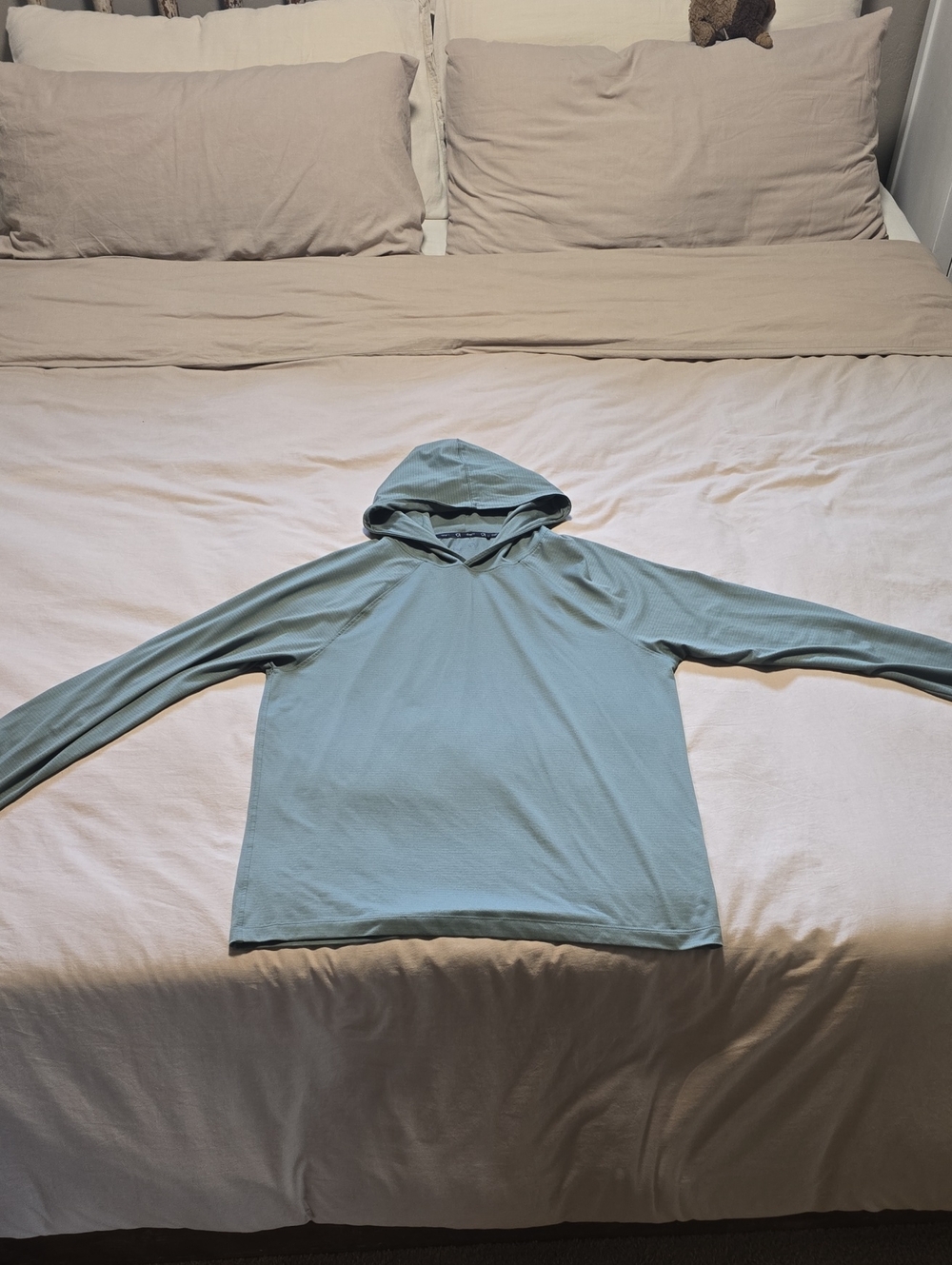 GAP Men's Sage Green Hooded Long-Sleeve Shirt